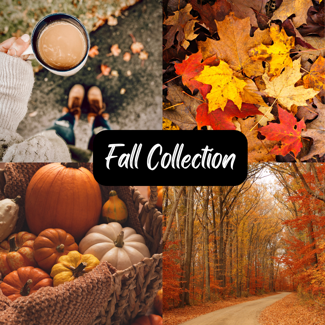 Fall Collection